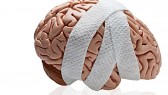 Brain-Damage-