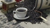Coffee-Beans-Bulk-Grinder-Cup
