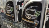 RoundUp-365-Herbicide-Bottles