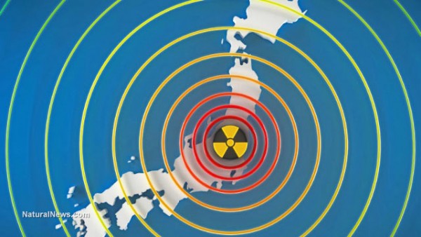 Image: Amazing earthquake video animation shows total stupidity of building nuclear power plants near known fault lines