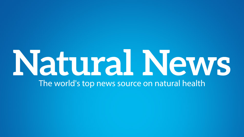 Image: Natural News launches standalone blog site to insulate natural health bloggers from punitive Google censorship