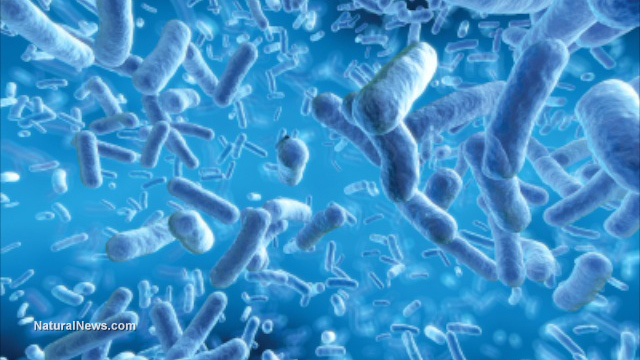 Image: Emerging superbug kills woman: Infection resistant to 26 antibiotics