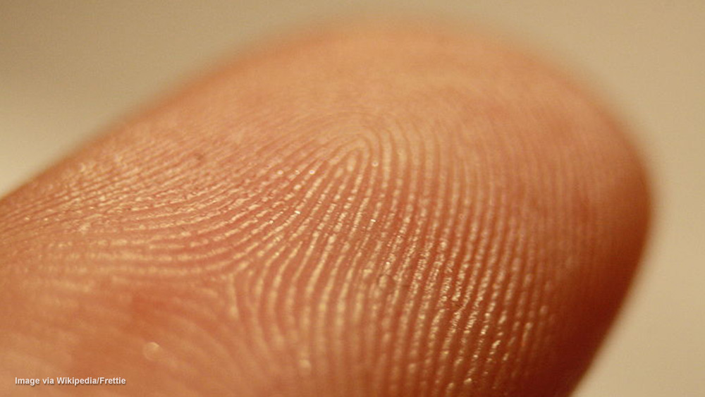 Image: Identity theft using selfies: Your fingerprint can now be stolen from your pictures