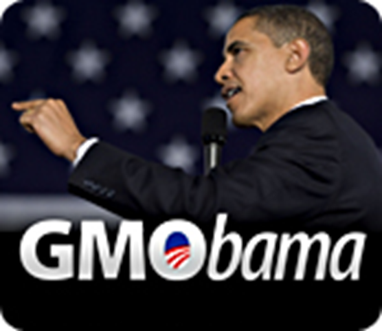 Image: Obama’s new policy registration may very well have ended all non-GMO agriculture in the US
