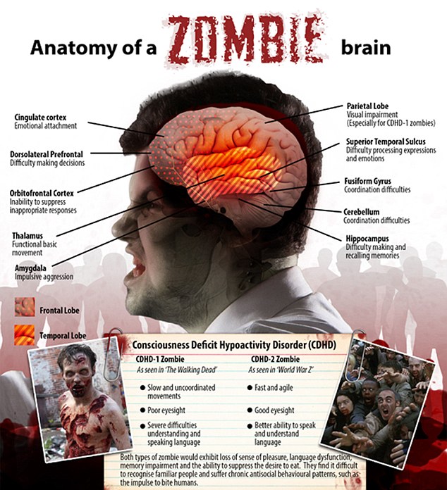Image: Scientists reveal a zombie outbreak could wipe out humanity in 100 days: Here’s how to survive if it happens