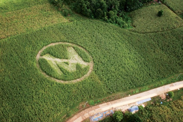 Image: Monsanto is an evil company that doesn’t care about you or the environment