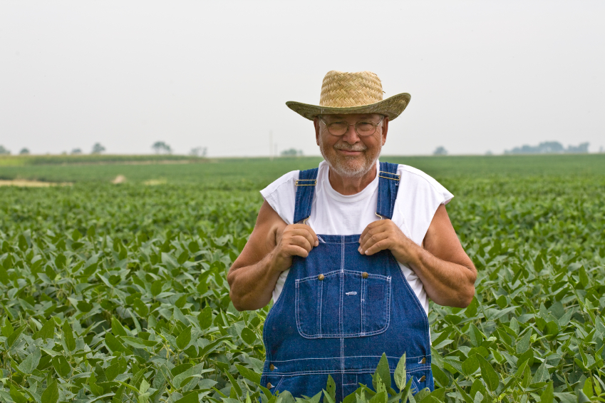 Image: New bill would allow farmers to sue Monsanto if GMO crops invade their property