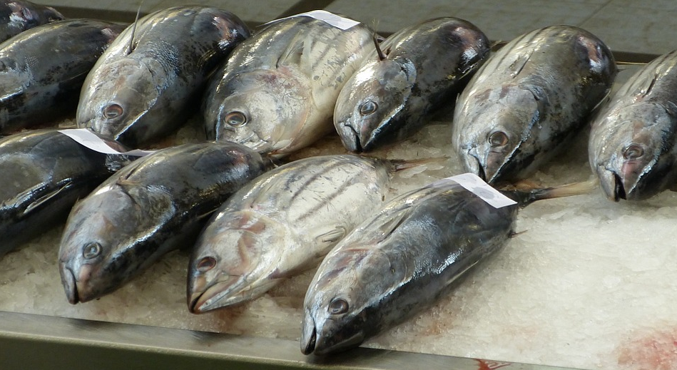 Image: Contaminated seafood from China is flooding the United States, are you safe?