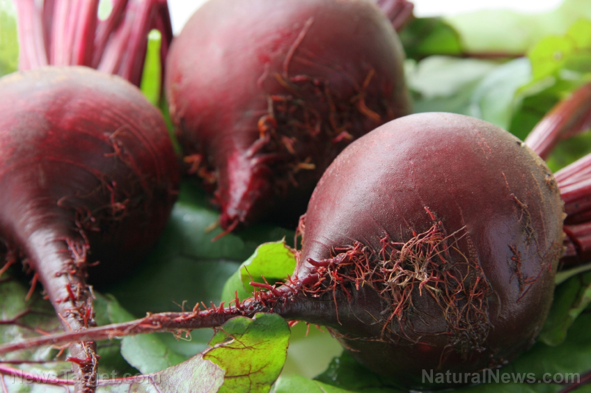 Image: How to harvest an endless supply of beets from your back yard