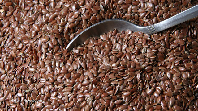 Image: 10 Healthy reasons to add flax seed to your diet