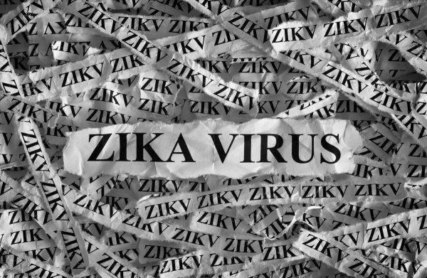 Image: Zika virus vaccine will genetically re-engineer your DNA
