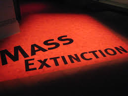 Image: Chemical pesticides, industrial pollution and ecological destruction causing sixth mass extinction on planet Earth