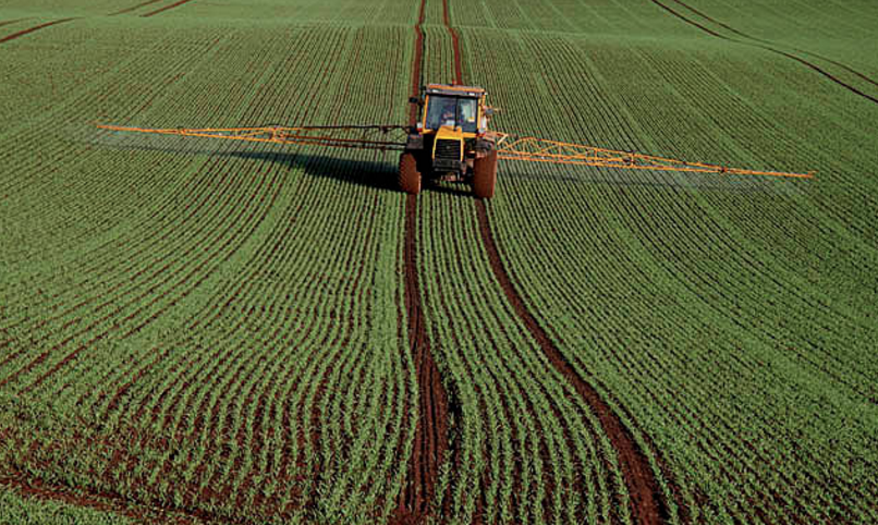 Image: Vast quantities of crops dumped with cancer-causing glyphosate right before harvest