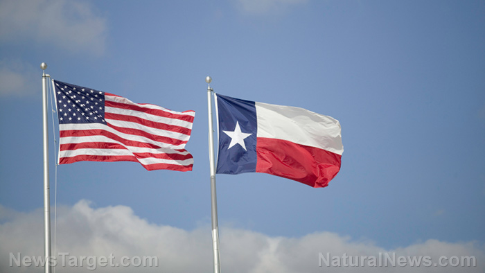 Image: Texas calls for a convention of states to amend the U.S. Constitution… can the Republic be saved before it collapses?