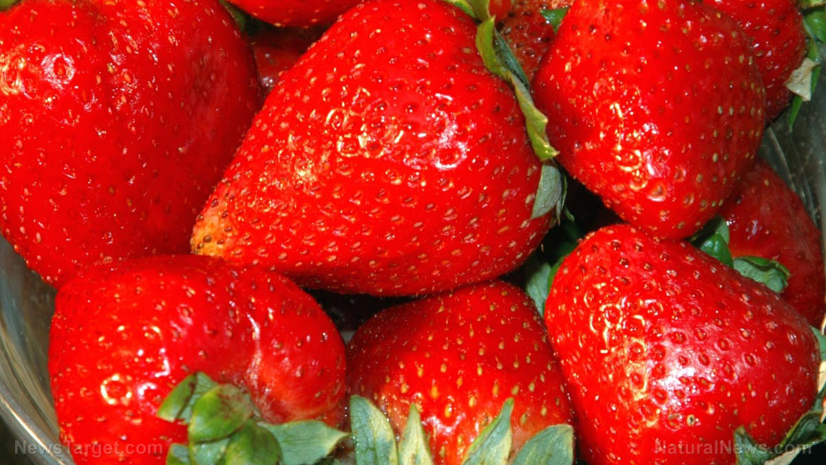 Image: Researchers discover that strawberries can inhibit breast cancer in mice