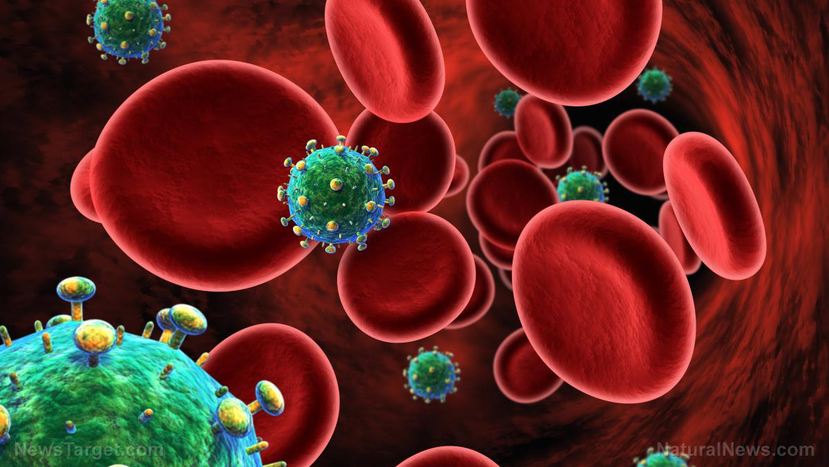 Image: Toxic blood infections can be eliminated using MAGNETS, says British inventor of machine that’s about to begin human clinical trials
