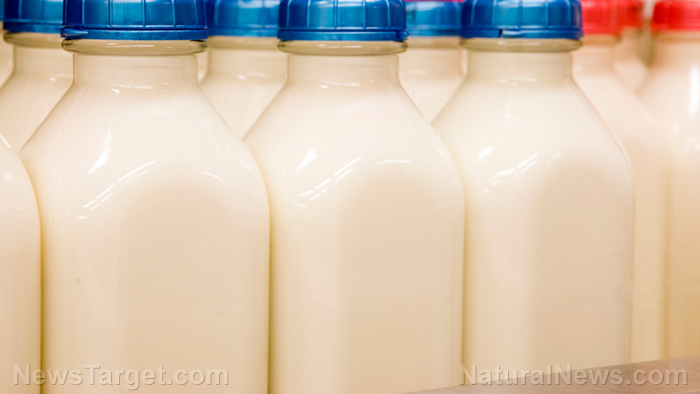 Image: Be careful of what you buy: not all “organic” milk is really organic, report reveals