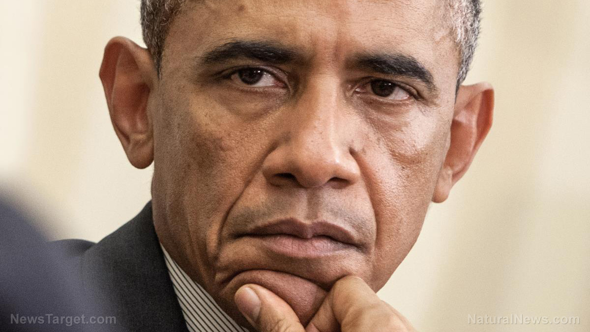 Image: Why Barack Obama may be going to PRISON for crimes against America (video)