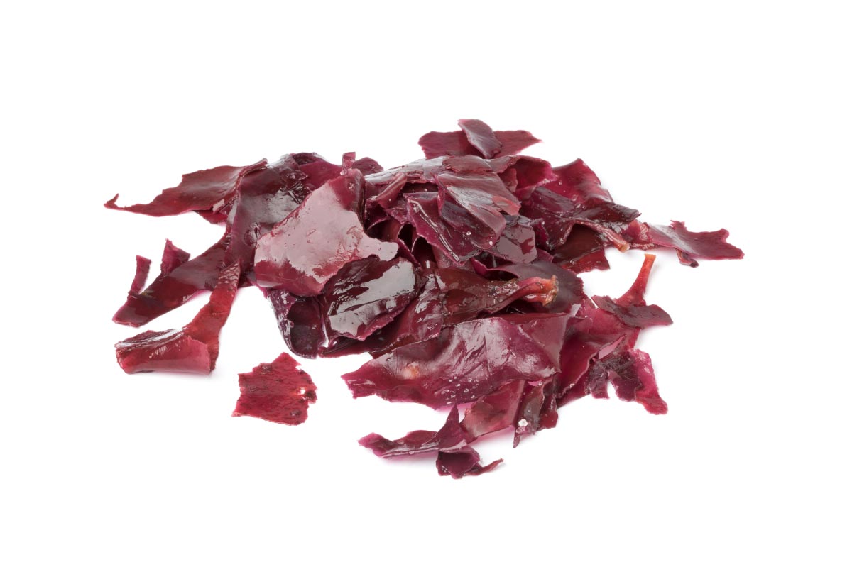 Image: Red Seaweed: the radiation protection superfood you’re not getting enough of