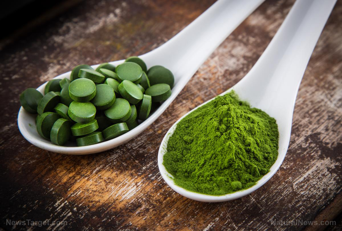 Image: 9 Reasons to add Chlorella superfood to your diet