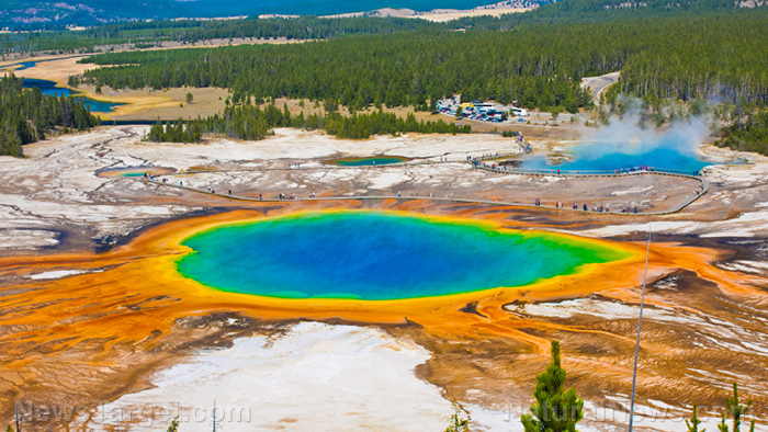 Image: Yellowstone is rumbling again with swarm of over 200 tremors in less than two weeks