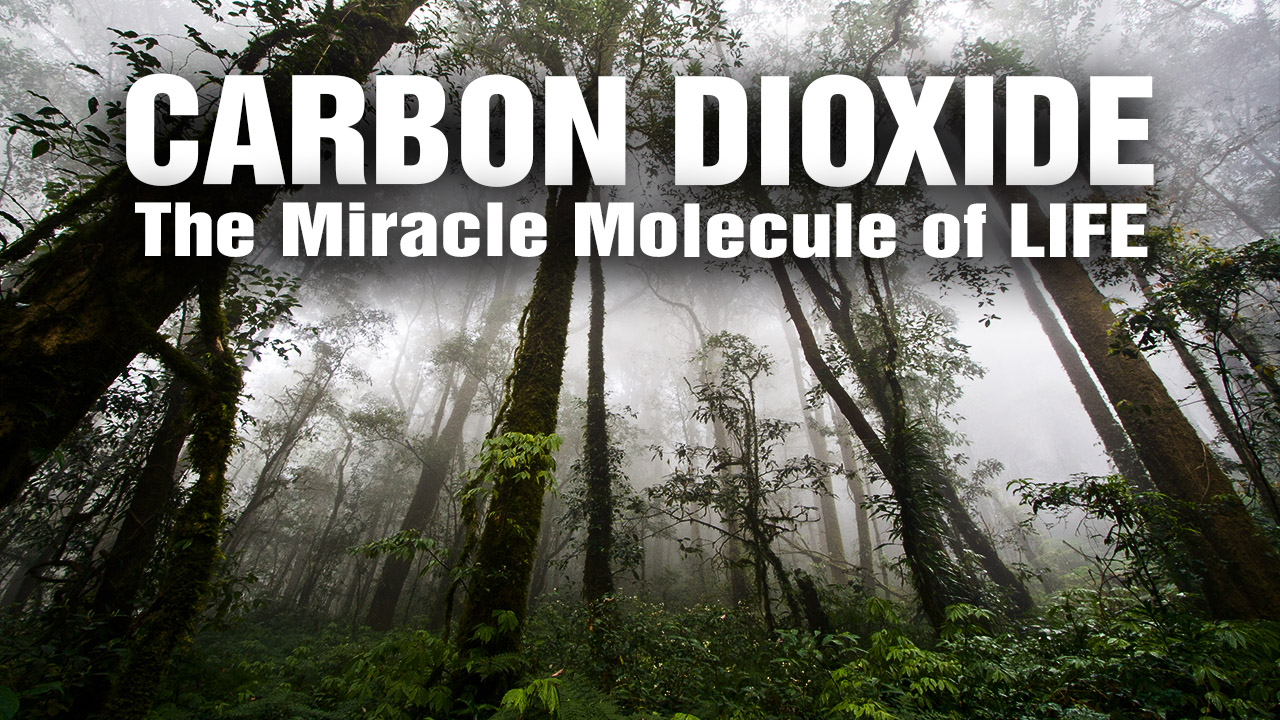 Image: Carbon Dioxide revealed as the “Miracle Molecule of Life” for re-greening the planet