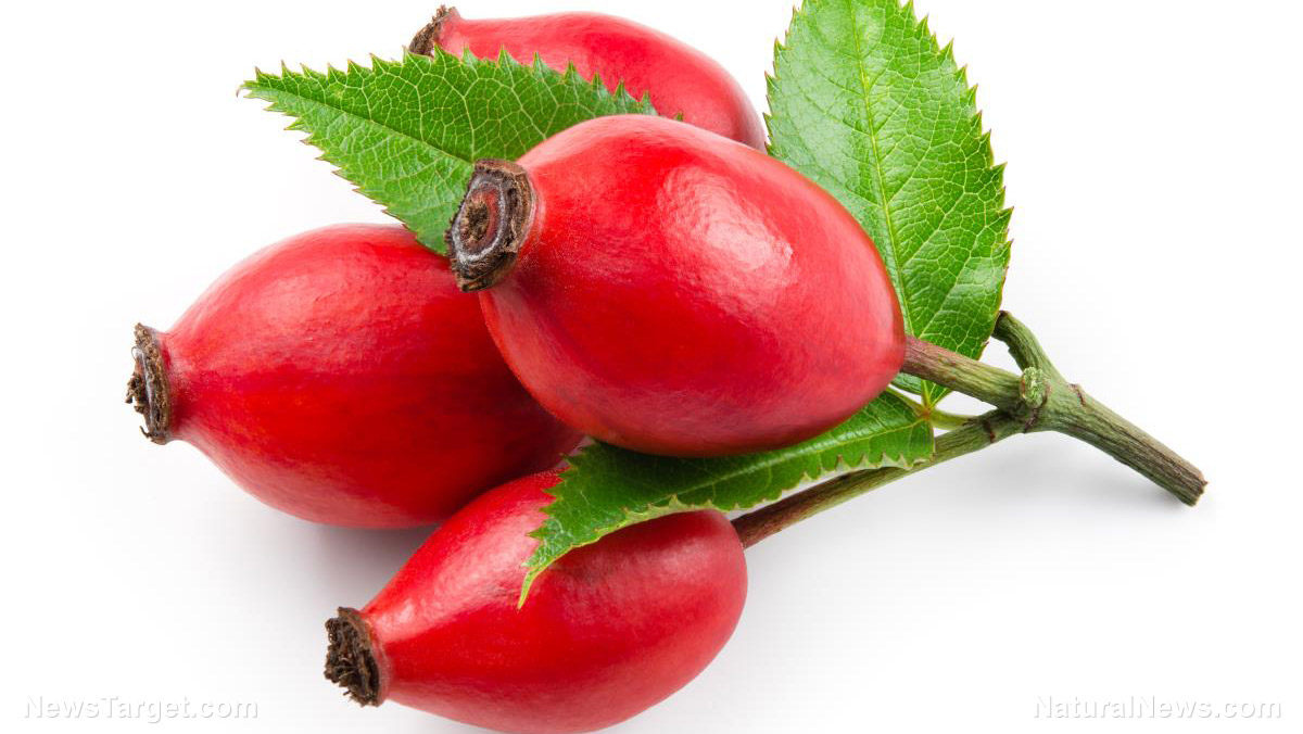 Image: Rose hips found to reduce UTIs in women after a cesarean section