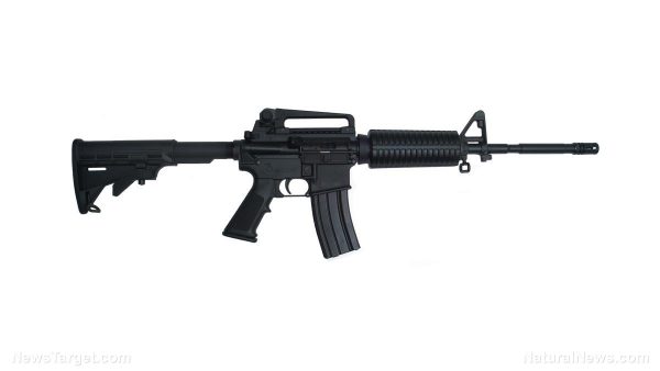 Image: Federal government declares AR-15s are not “weapons of war” as gun rights opponents frequently claim