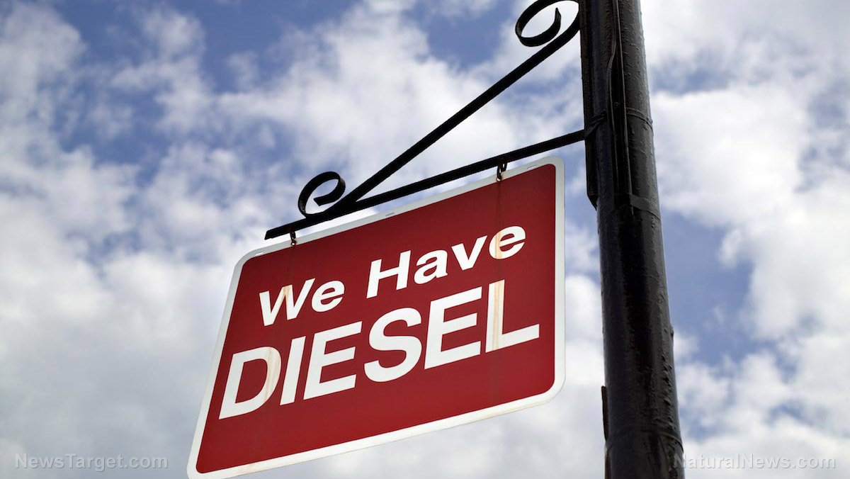 Image: German court rules cities may ban diesel engines