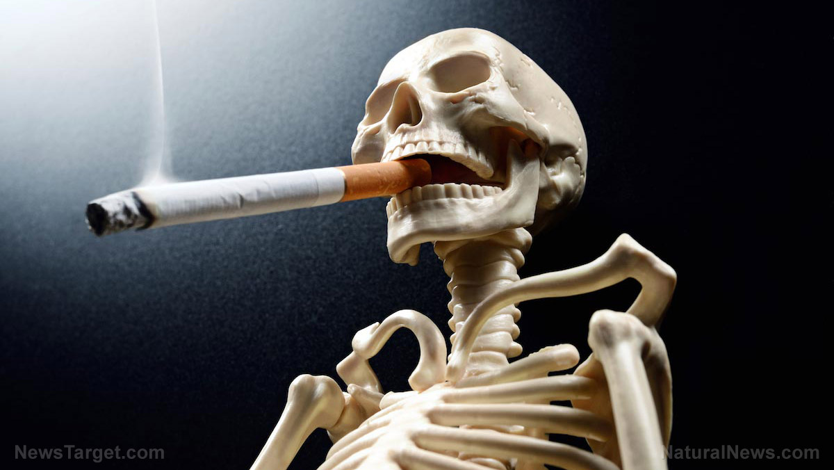 Image: Toxins from smoking indoors never go away; materials have to be deep cleaned or replaced