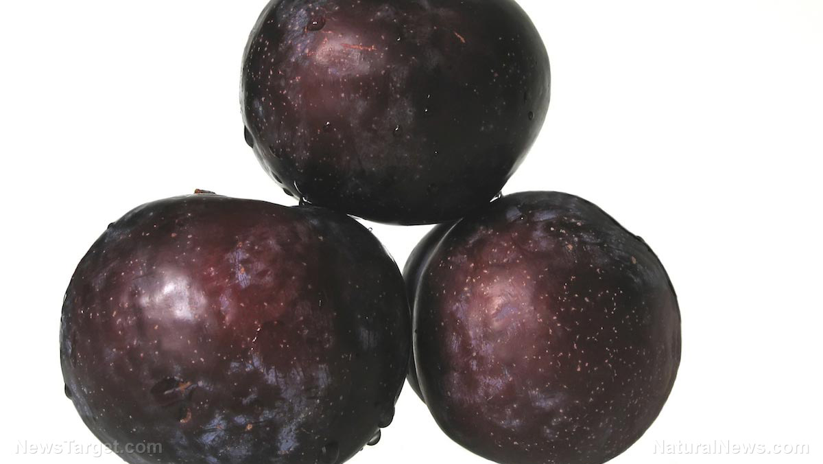 Image: Studying the anticancer potential of the common plum