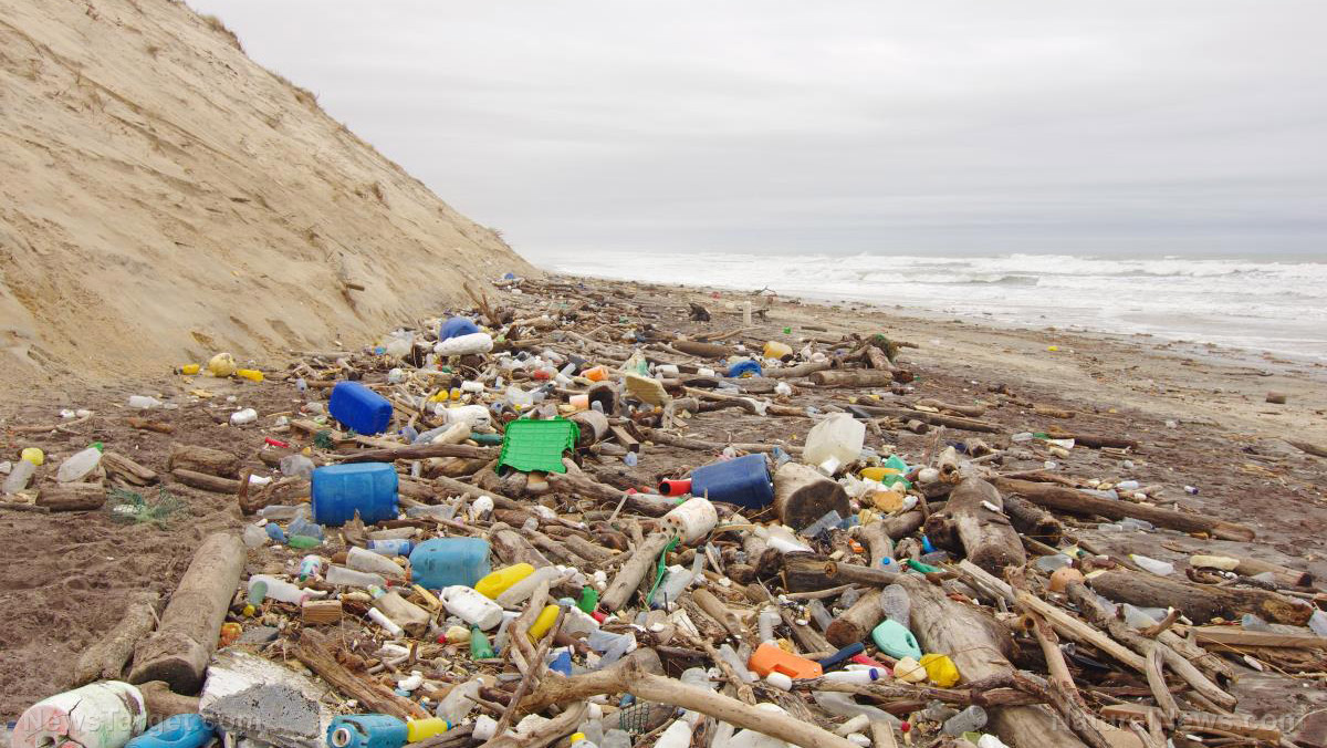 Image: U.K. scientists call on public to help track and map plastic pollution on local beaches