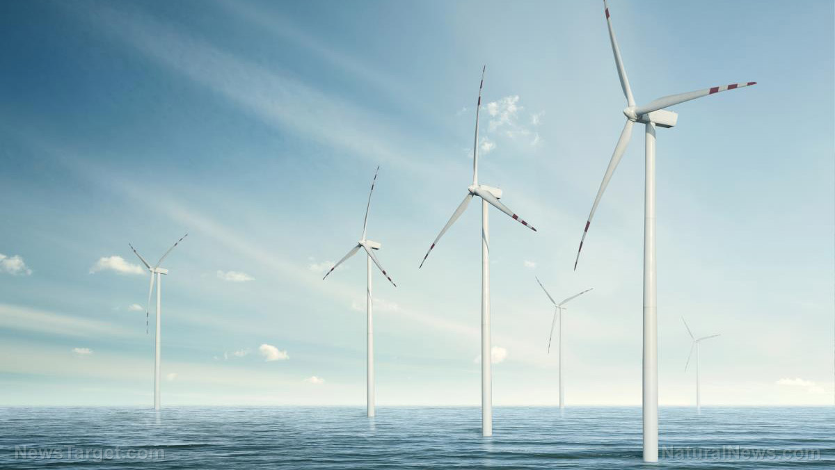 Image: Offshore wind farms found to be vulnerable to… yep… WINDS