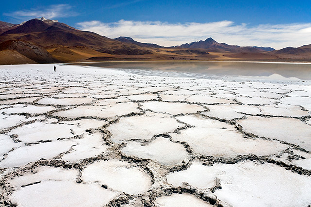 Image: Chile is sitting on a lithium goldmine, but locals say that exploiting it will come at a terrible environmental cost