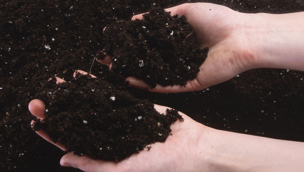 Image: 4 Soil problems and how to fix them