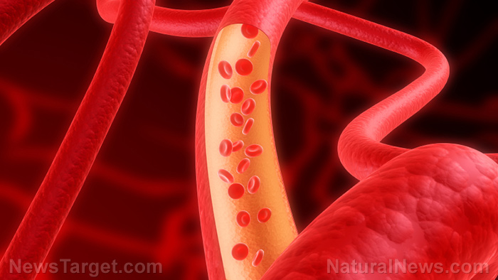 Image: We all have tiny hairs inside our blood vessels that conform to the flow of your blood