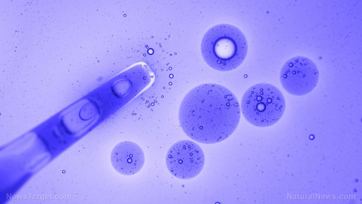 Image: Cryogenically frozen organisms brought back to life by scientists