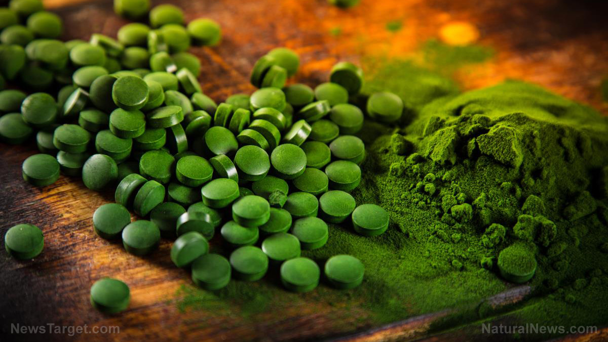 Image: Is this the most powerful superfood on the planet?