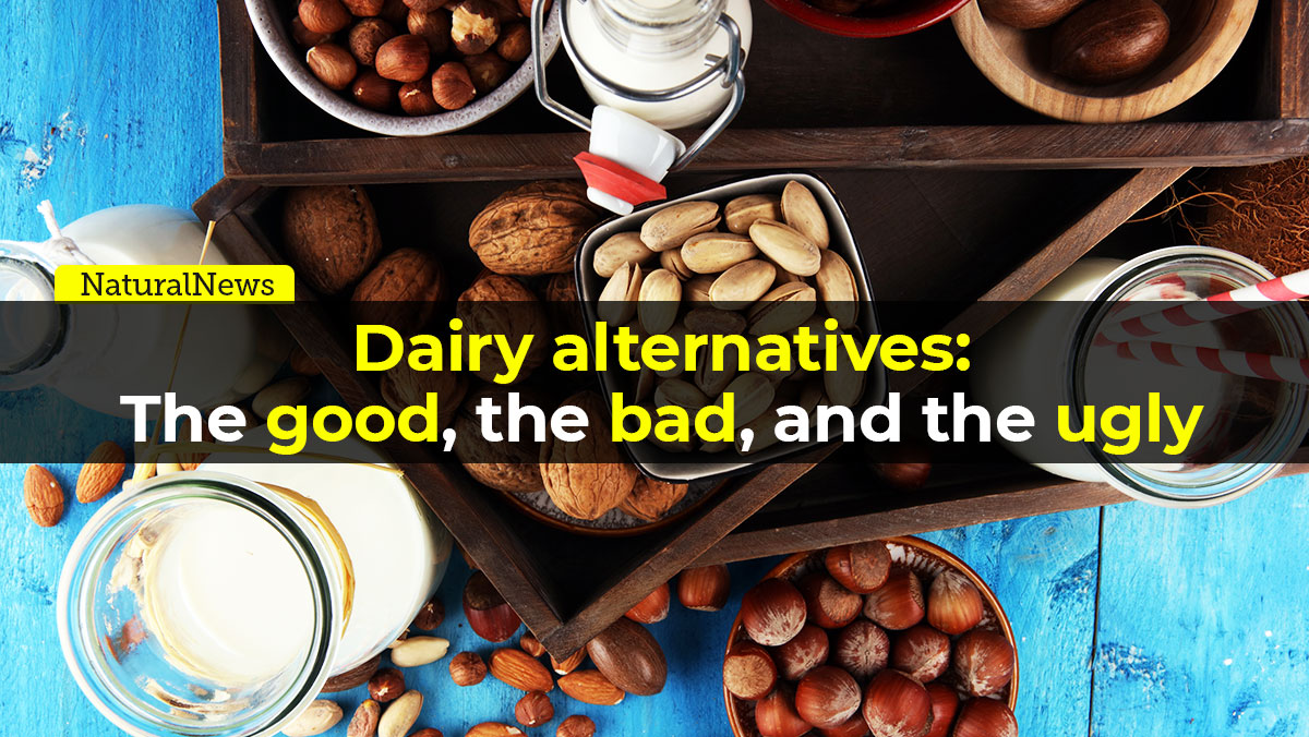 Image: Dairy alternatives: The good, the bad, and the ugly