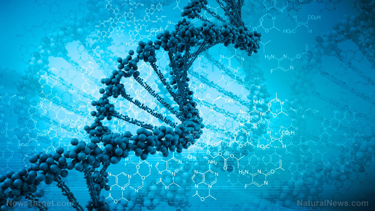 Image: REPORT: The U.S. intelligence community wants to use DNA as the next data storage trove