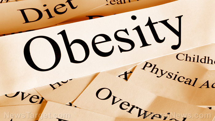 Image: Delusions 101: Academics call for end to categorizing obesity as a “health issue”