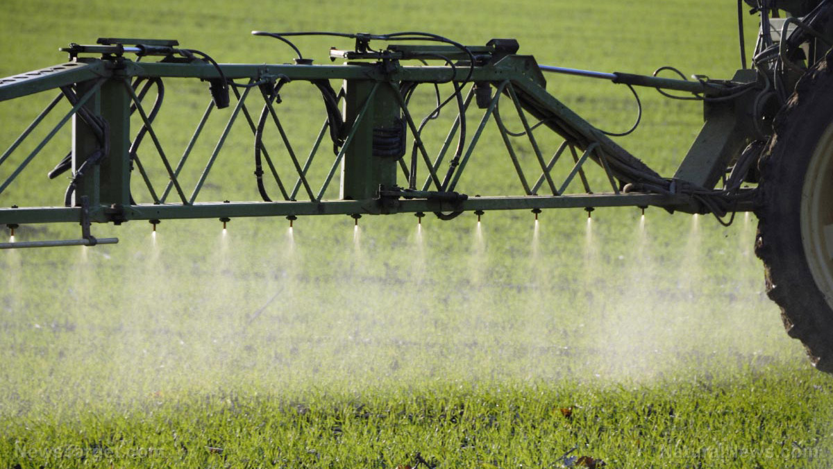 Image: Third World farmers are committing suicide by consuming toxic pesticides