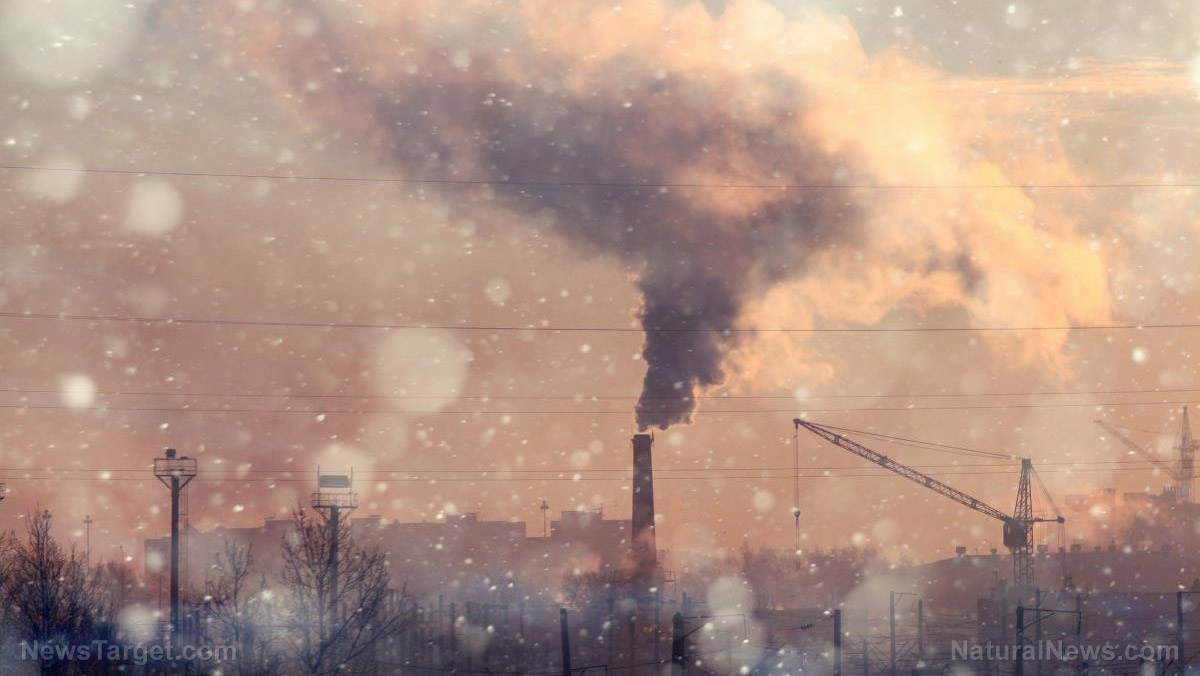 Image: Air pollution confirmed to have multi-generational damaging effect on future offspring
