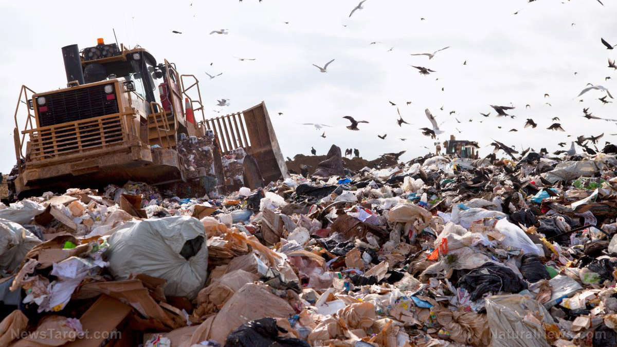Image: Almost 40 percent of U.S. food production goes to waste… here’s how we can do better