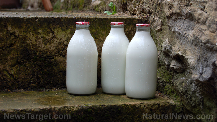 Image: 5 Important tips to keep RAW milk fresh