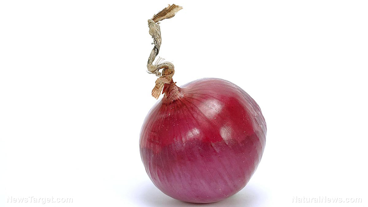 Image: Powerful anti-cancer compound in red onions found to “destroy” cancer tumors