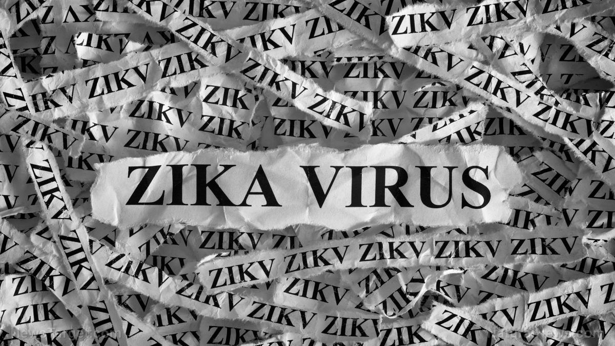 Image: In pushing malaria drug finding, the mainstream media accidentally admits Zika virus vaccines are obsolete