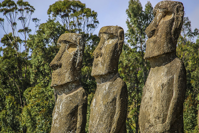 Image: Easter Island ancient people didn’t die off from destroying their ecosystem, new study confirms