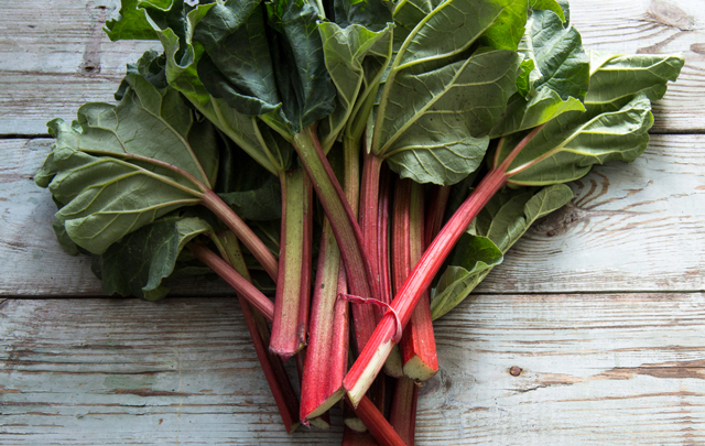 Image: China research: Rhubarb relieves gastrointestinal dysfunction in critically ill patients without any side effects