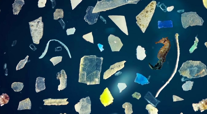 Image: Microplastic pollution is the REAL threat to our oceans, warn scientists